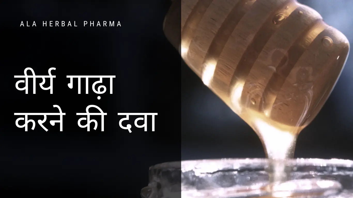 Virya Gada Karne Ki Dawa : 7 Natural Potency Boosters