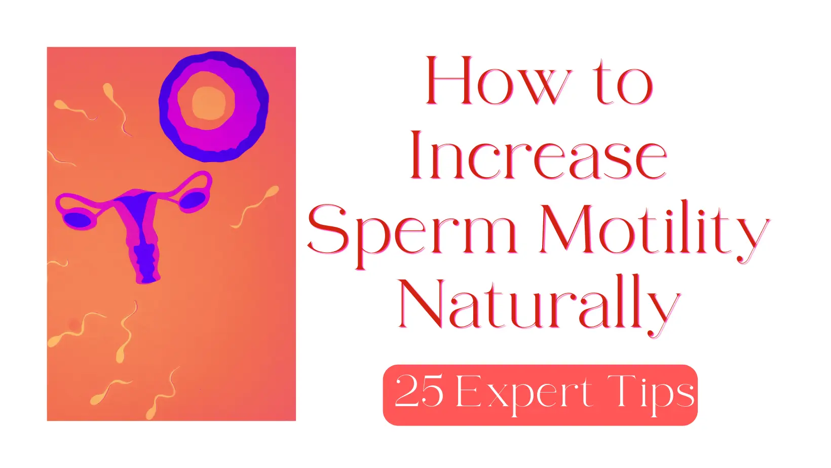 How to Increase Sperm Motility Naturally – 25 Expert Tips