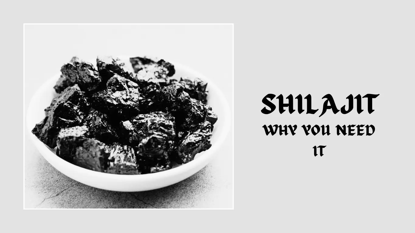 What Is Shilajit Used For and Why You Need It?